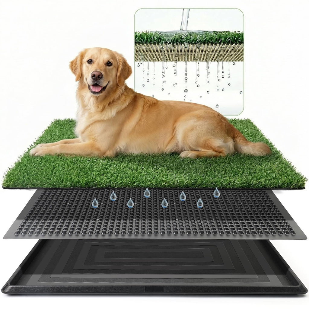Grass Pad for Dogs Potty, 3-Layer Reusable, Washable, 30 x 20 in Q486154