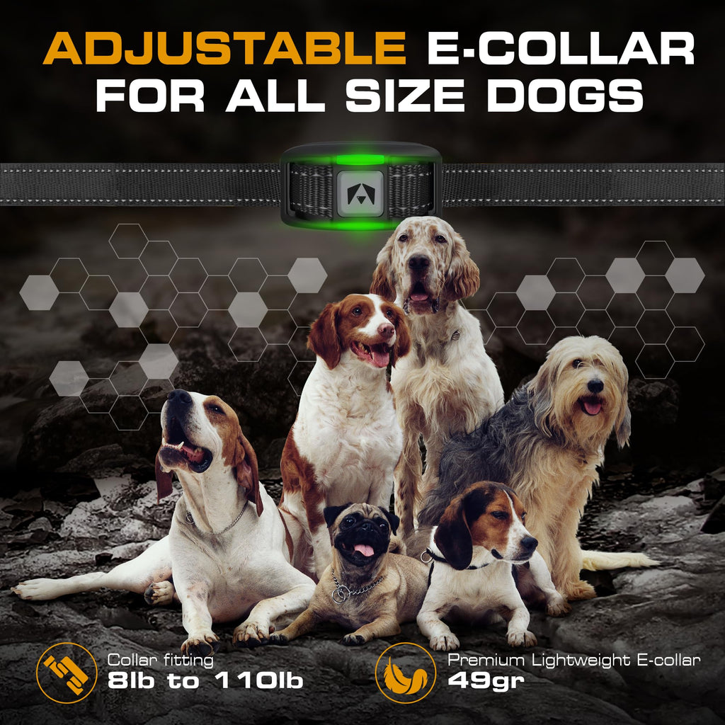 Dog Training Collar with Remote T17063