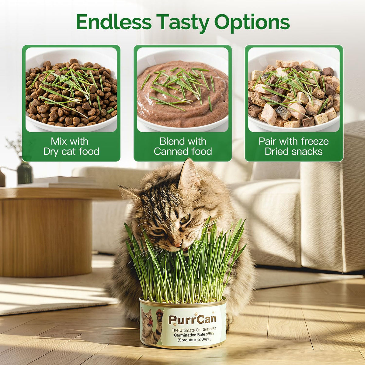 4 Can Cat Grass Kit with Non-GMO Organic Wheat Seeds Z4598