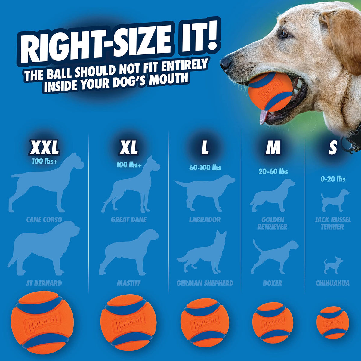Medium Ultra Ball 8 Count X6493