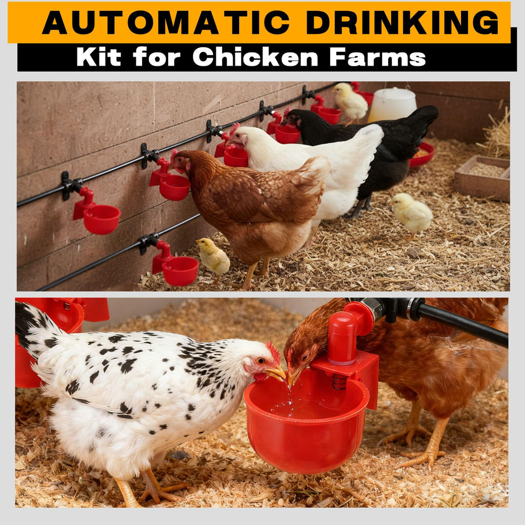 Automatic Chicken Watering System with 10 Red Cups M9692