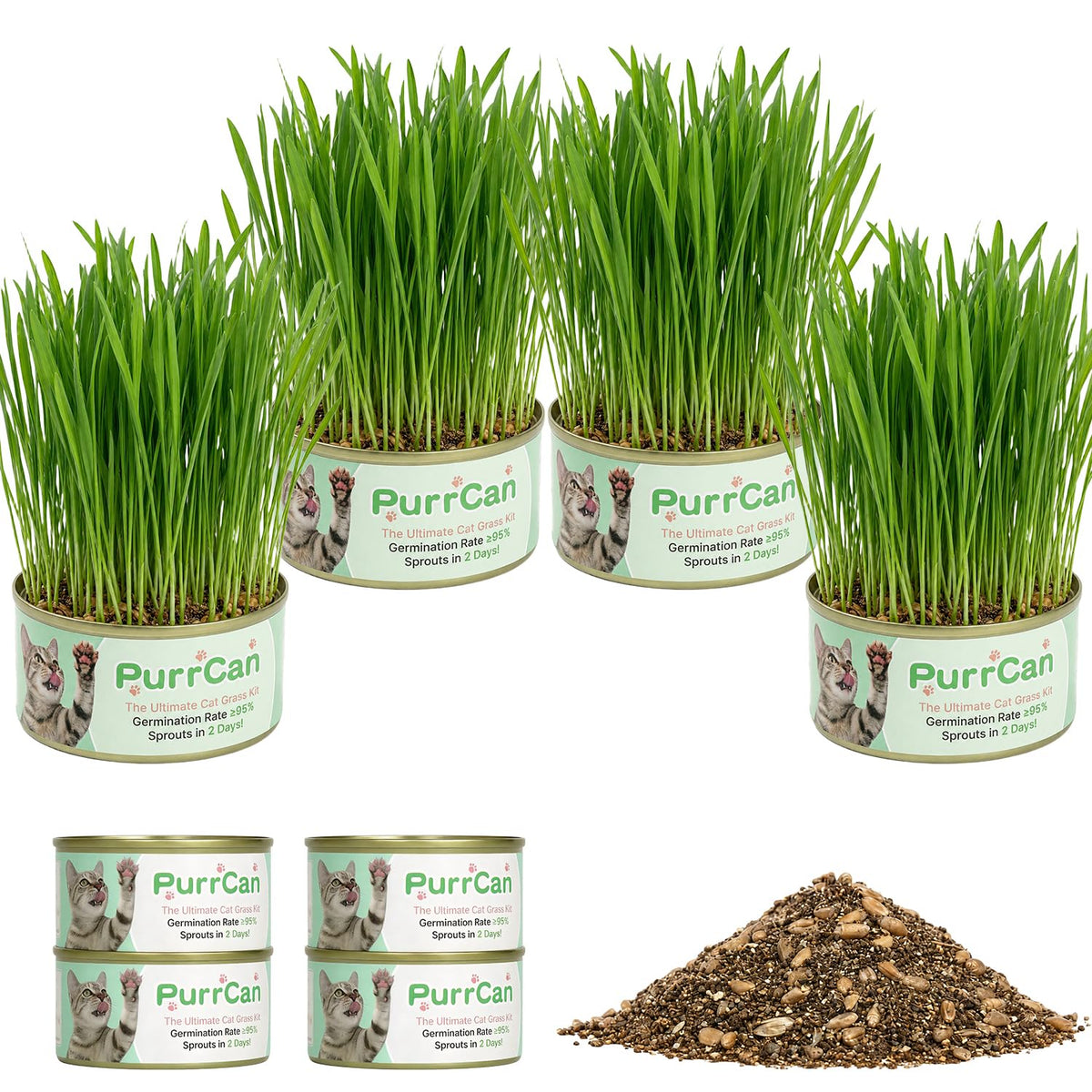 4 Can Cat Grass Kit with Non-GMO Organic Wheat Seeds Z4598