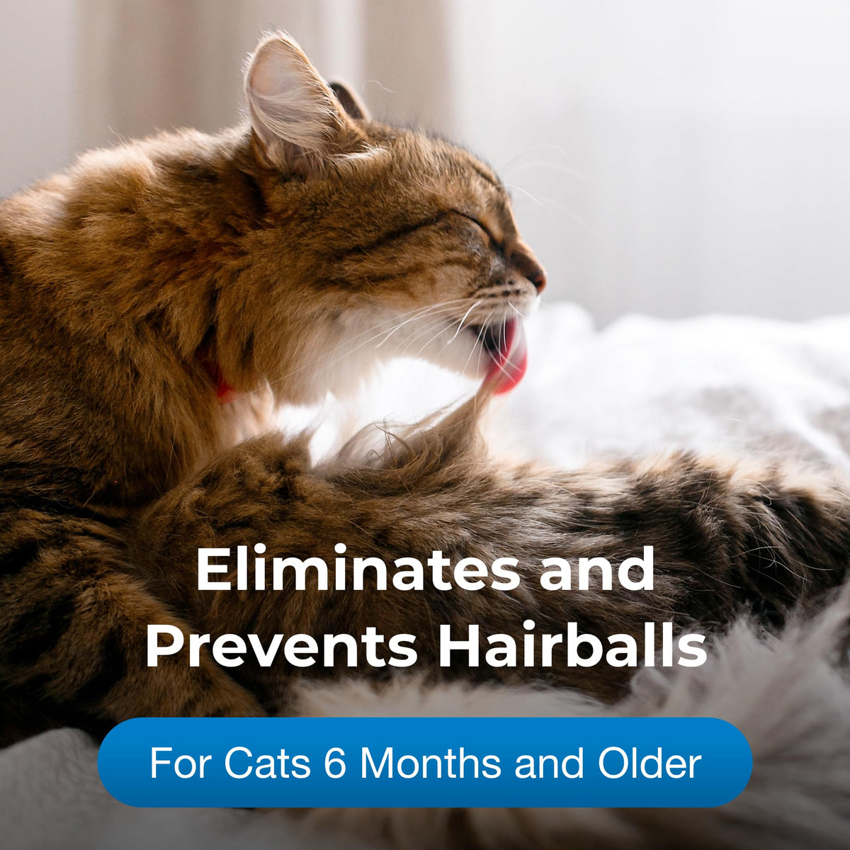 Hairball Solution Gel Supplement for Cats 3.5 oz K32184