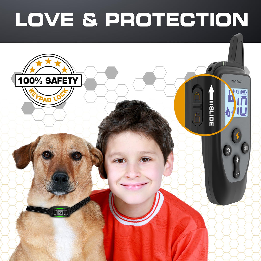Dog Training Collar with Remote T17063