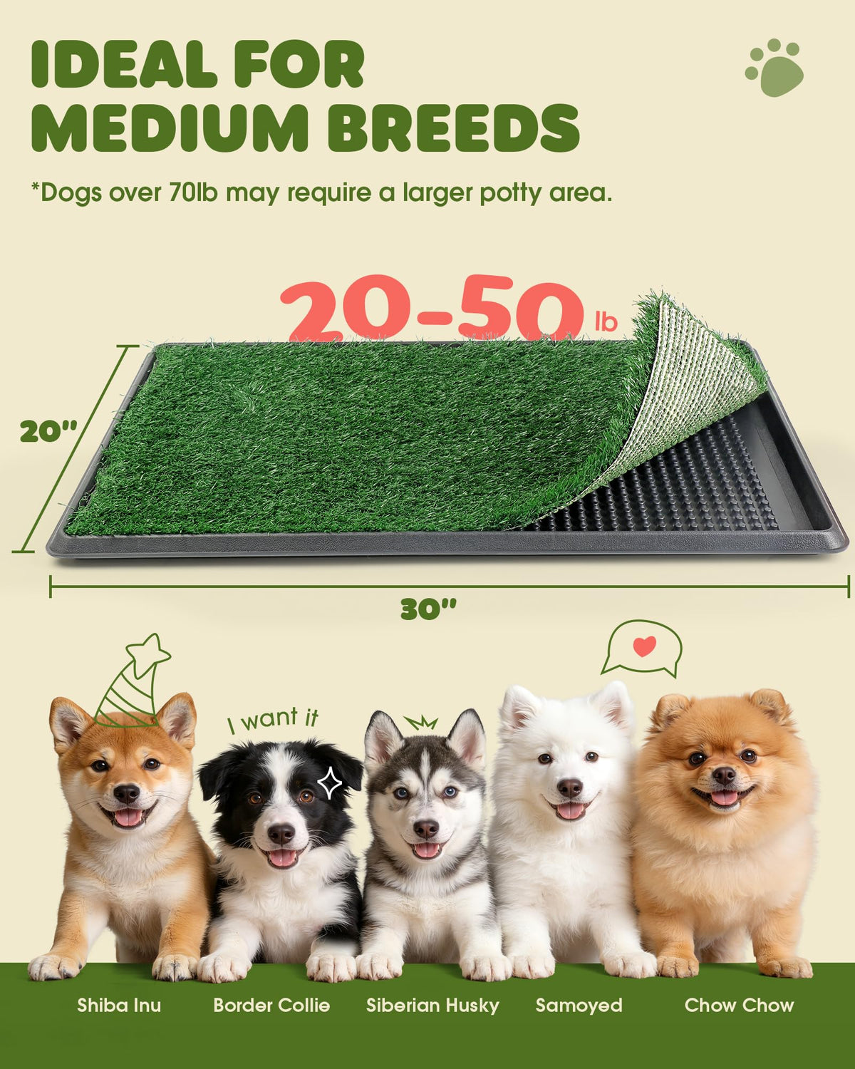 Grass Pad for Dogs Potty, 3-Layer Reusable, Washable, 30 x 20 in Q486154