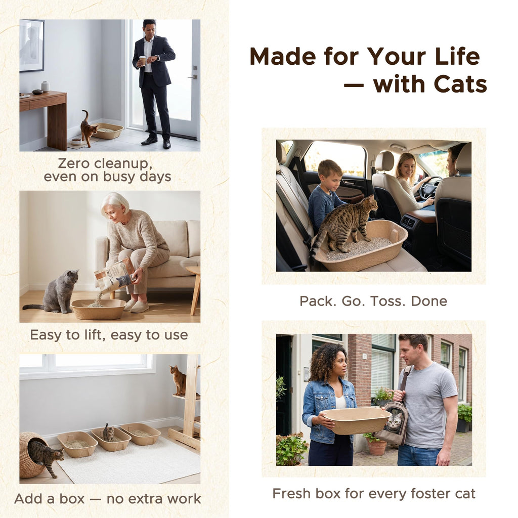 Disposable Litter Box for Kittens F103046
