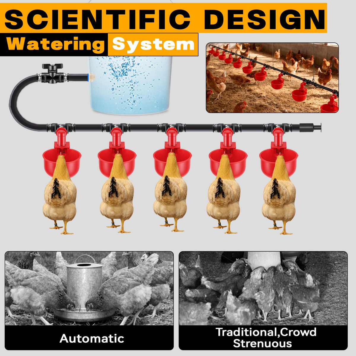 Automatic Chicken Watering System with 10 Red Cups M9692