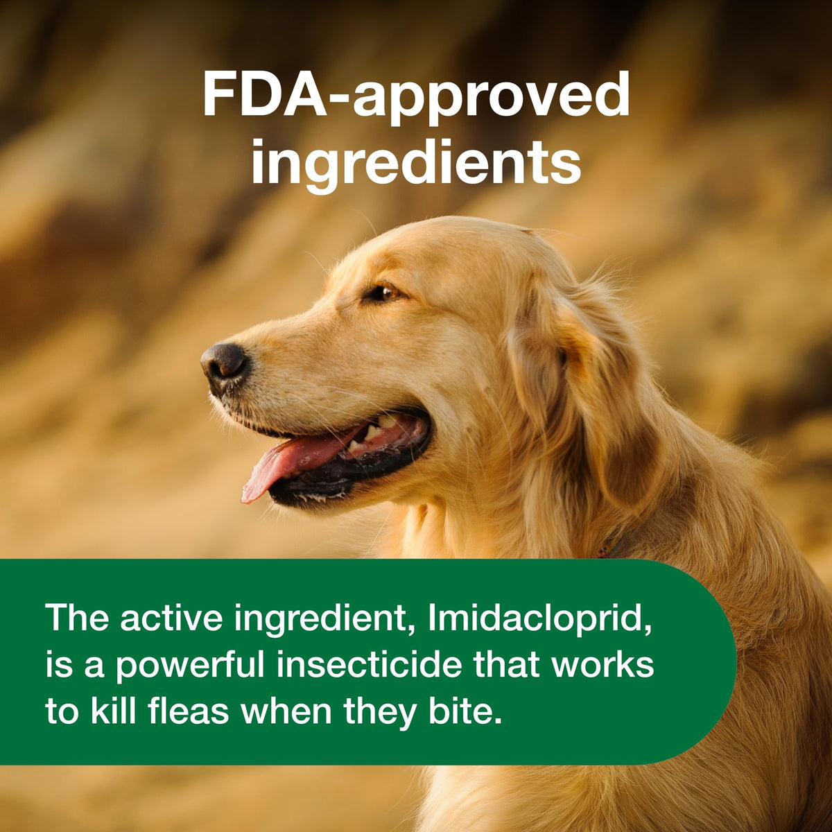 Soft Chew Flea Treatment for Dogs 23-110 lbs. 7 ct M87657