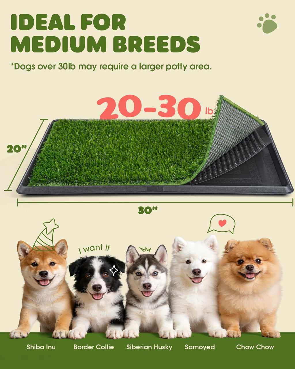 3 Layer Dog Grass Pad with Tray 30" x 20" V50995