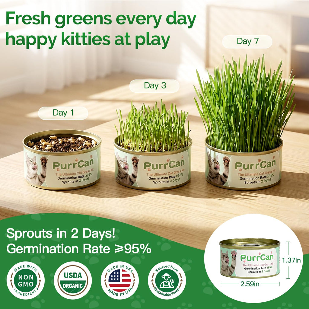 4 Can Cat Grass Kit with Non-GMO Organic Wheat Seeds Z4598