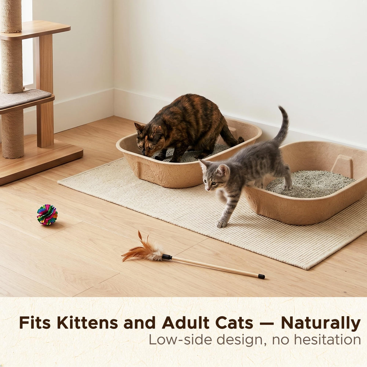 Disposable Litter Box for Kittens F103046