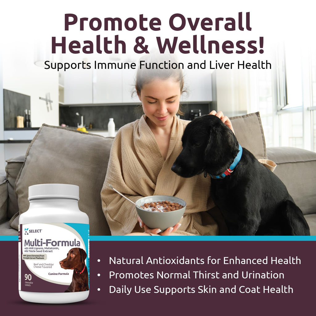 90 Tablets Beef Flavor Dog Multivitamin V877597