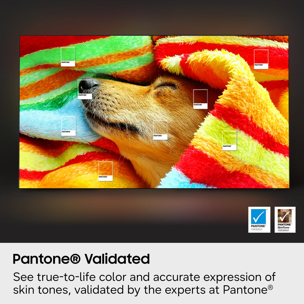 55-Inch OLED 4K Smart TV I6833